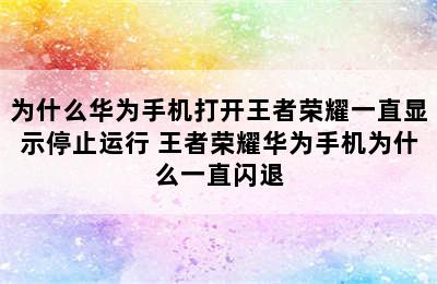 为什么华为手机打开王者荣耀一直显示停止运行 王者荣耀华为手机为什么一直闪退